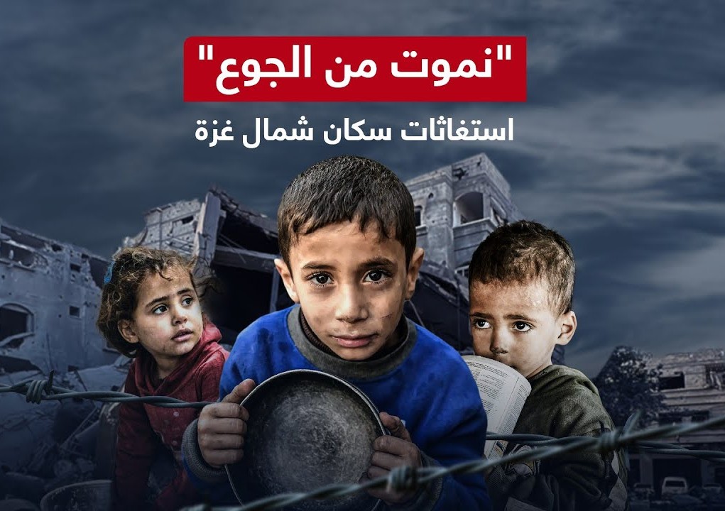 صراع الوجود لتأمين الغذاء ومواجهة شبح المجاعة في غزة&nbsp;.